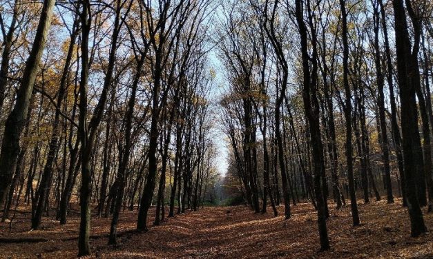 Csörsz-árok – A Gödöllői-dombság titkos védvonala