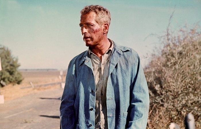 100 éve született Paul Newman – Filmjeiből a Dunán
