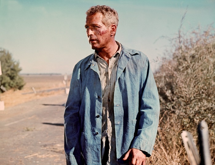 100 éve született Paul Newman - életművéből a Dunán