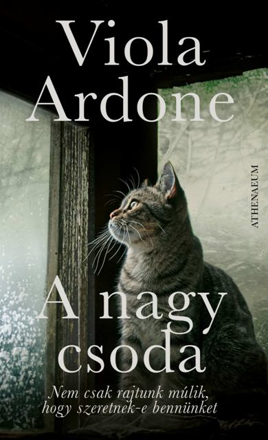 Viola Ardone: A nagy csoda - KÖNYVESPOLC