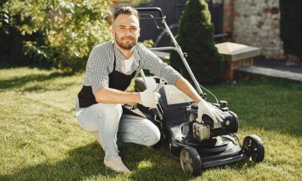 Lassan ideje elővenni a fűnyírót!