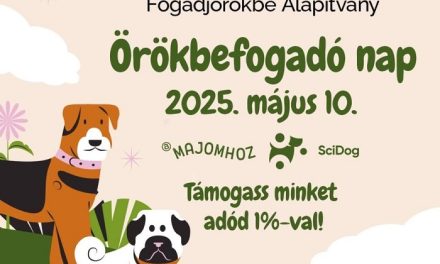 FogadjÖrökbe – Egy délutánra a négylábúaké lesz Buda