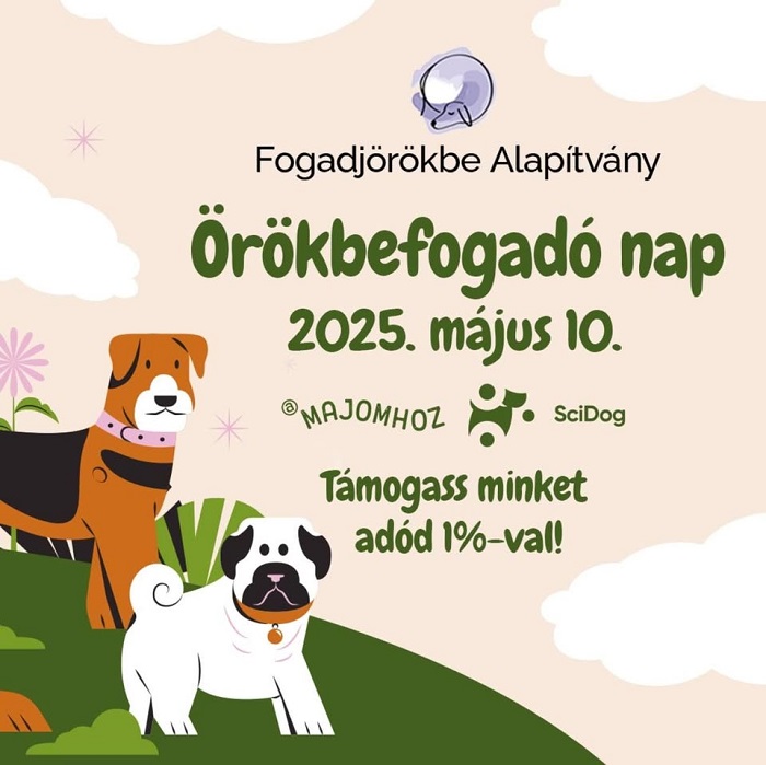 FogadjÖrökbe - Egy délutánra a négylábúaké lesz Buda