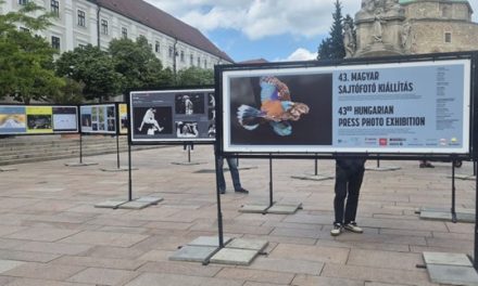 43. Magyar Sajtófotó vándorkiállítás