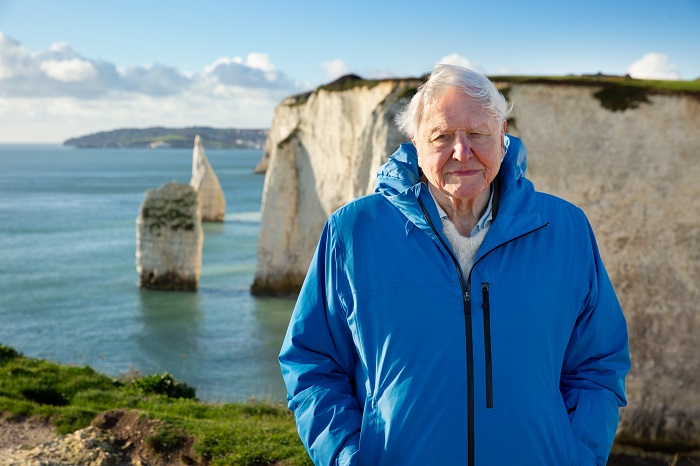 David Attenborough: Az óceán csodája – Disney+