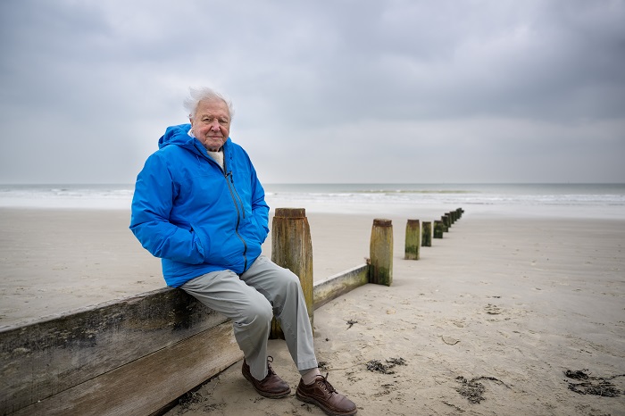 „David Attenborough: Az óceán csodája” a Disney+ felületén az Óceánok Világnapja alkalmából