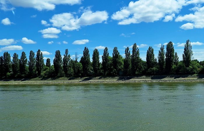 Önemlékezés gyakorlataim 21.0 - Ráhatás - a Szél és a Fa, avagy a Margitsziget "Szélcsináló" Jegenyéi tükröződésben és...