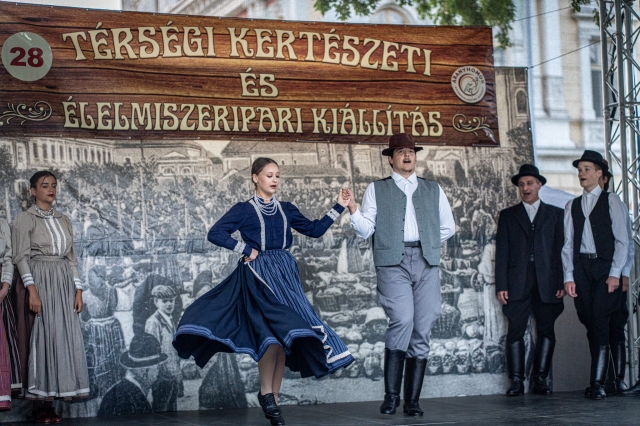 A szakmai zsűri díjazottjai – Hírös Hét Fesztivál