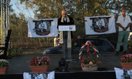 Alföld, Kecskemét; szüret, szőlő és bor néhány idei irodalmi évforduló tükrében