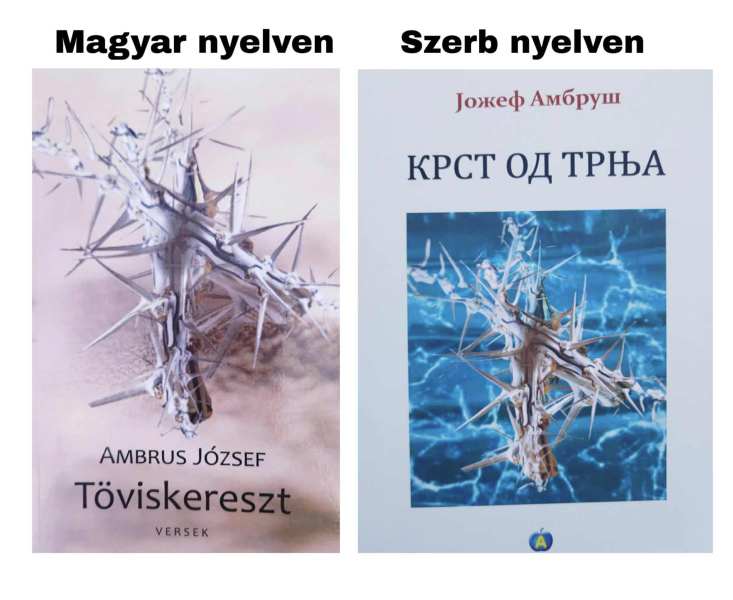 Töviskereszt – Interjú Ambrus József költővel