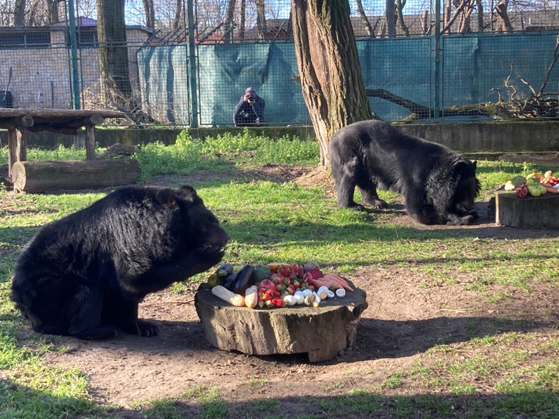 Jótékonysági nap a KECSKEMÉTI VADASKERTBEN