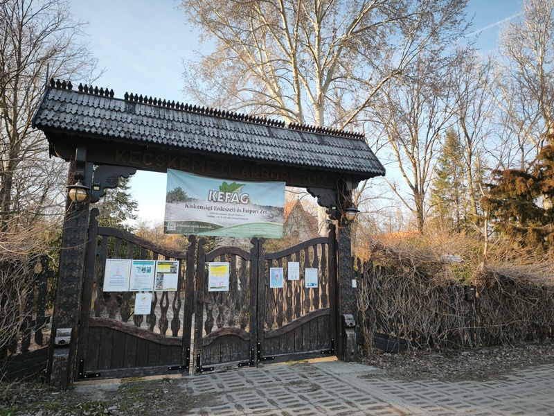 Tavaszelő a Kecskeméti Arborétumban