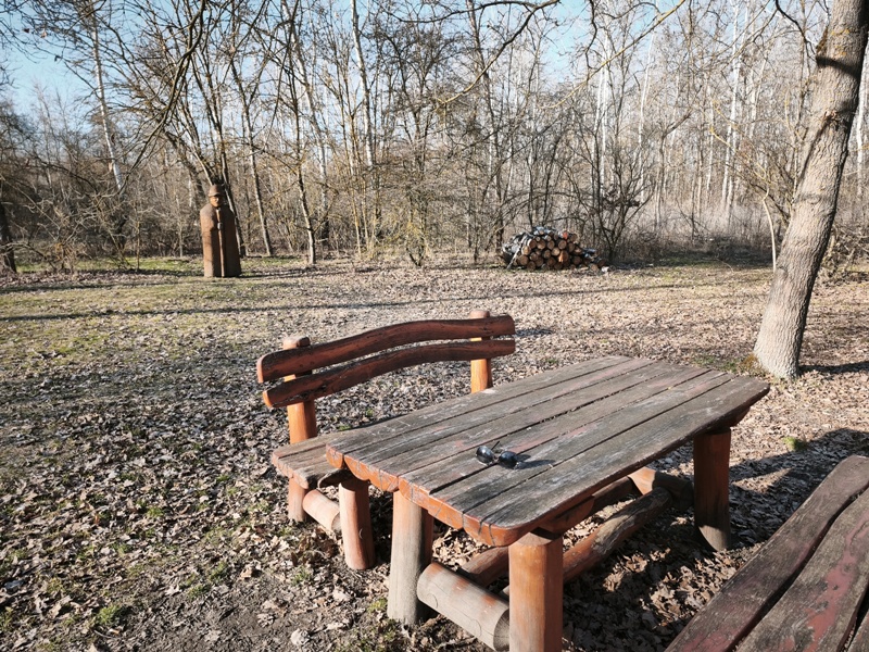 Tavaszelő a Kecskeméti Arborétumban