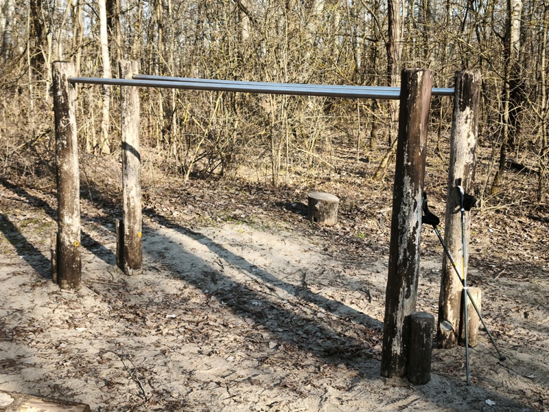 Tavaszelő a Kecskeméti Arborétumban