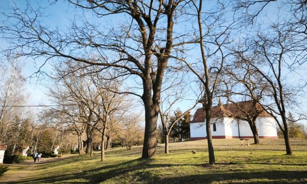 Tavaszelő a Kecskeméti Arborétumban