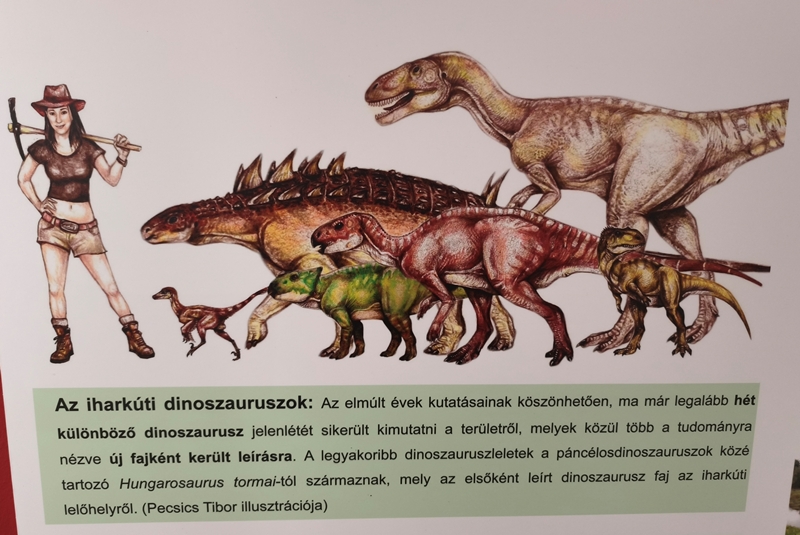 Kultúra és kerékpározás 1. rész - Eltűnt szigeteink dinoszauruszai